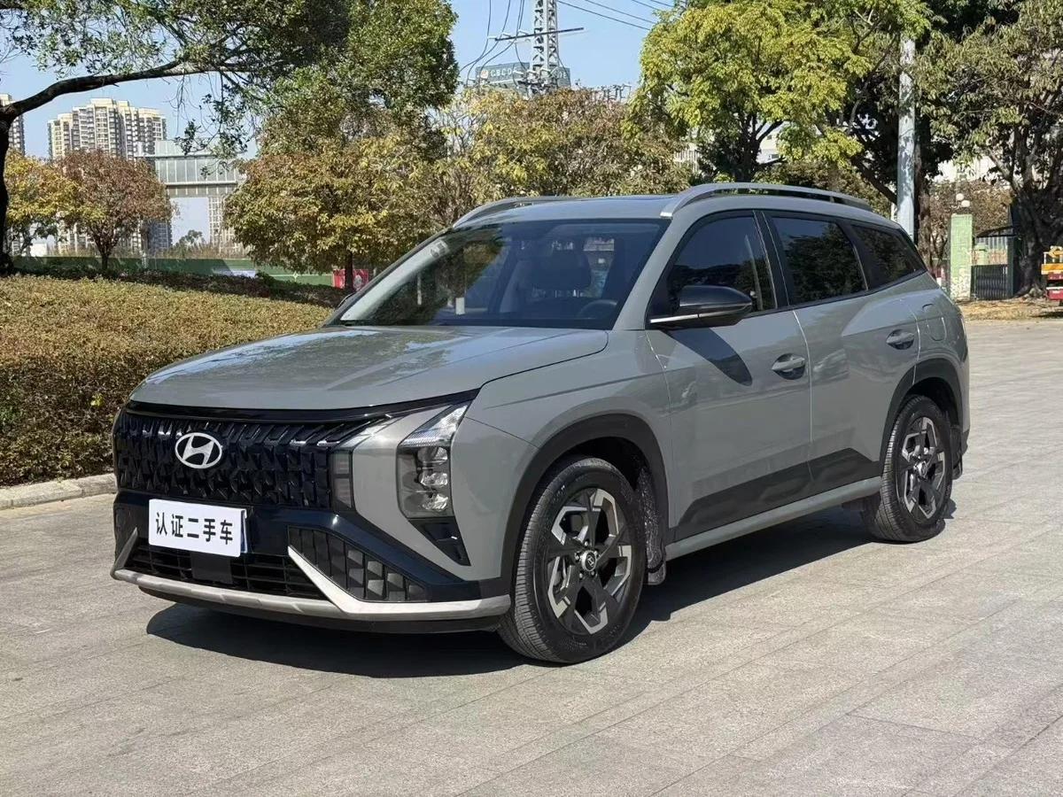Hyundai Mufasa 2023 и 1 ЛС